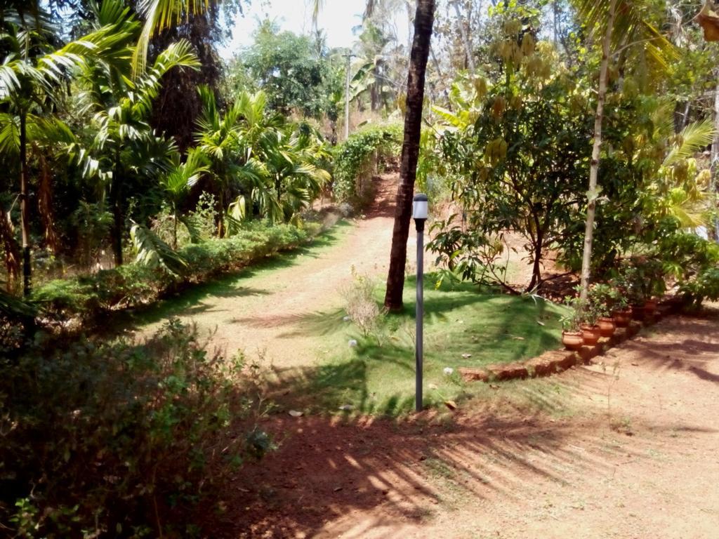 Ocean Green Kerala Kannur Extérieur photo