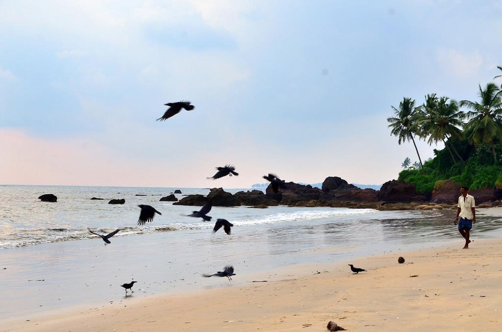 Ocean Green Kerala Kannur Extérieur photo