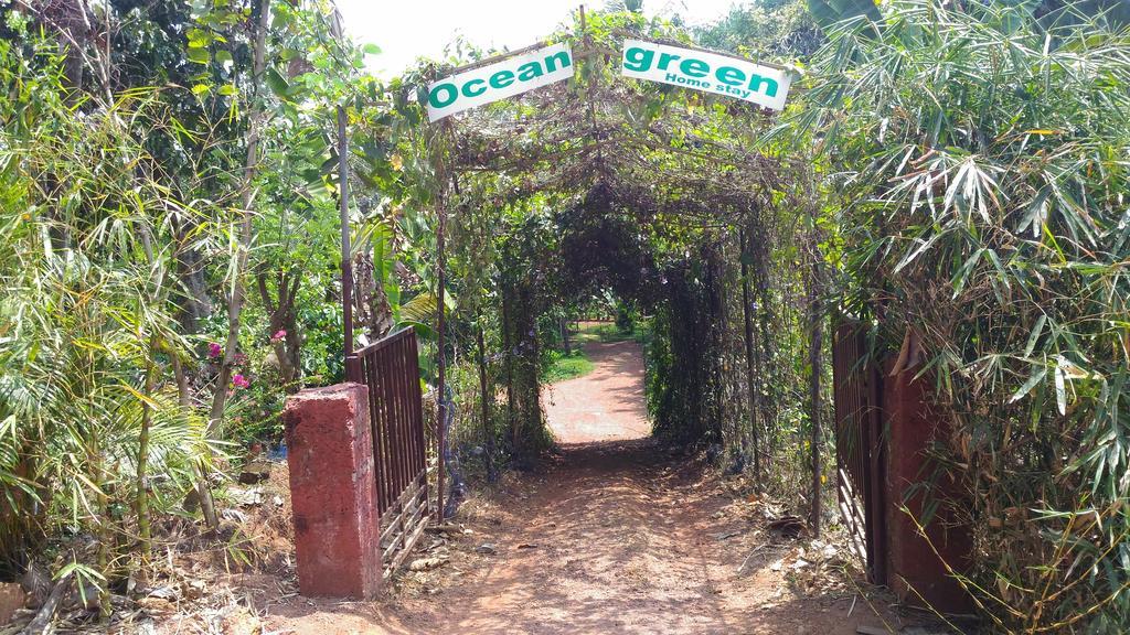 Ocean Green Kerala Kannur Extérieur photo