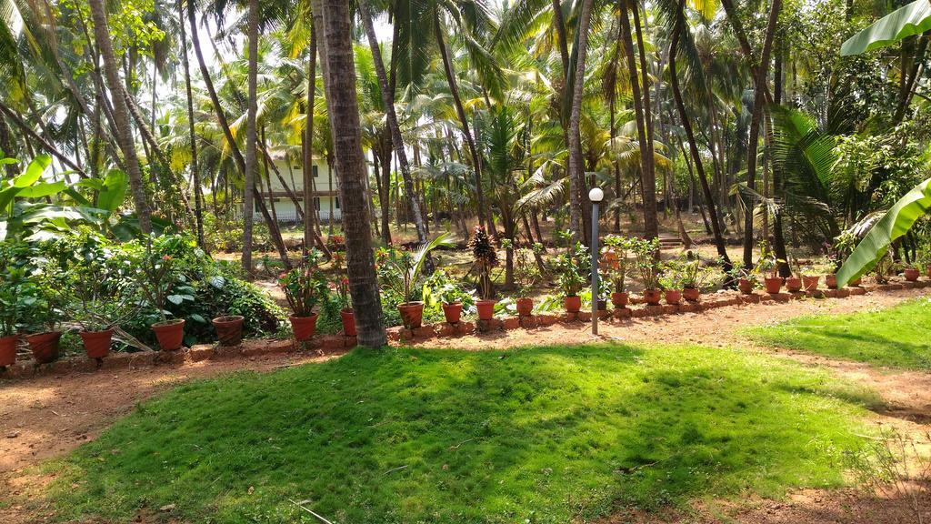Ocean Green Kerala Kannur Extérieur photo