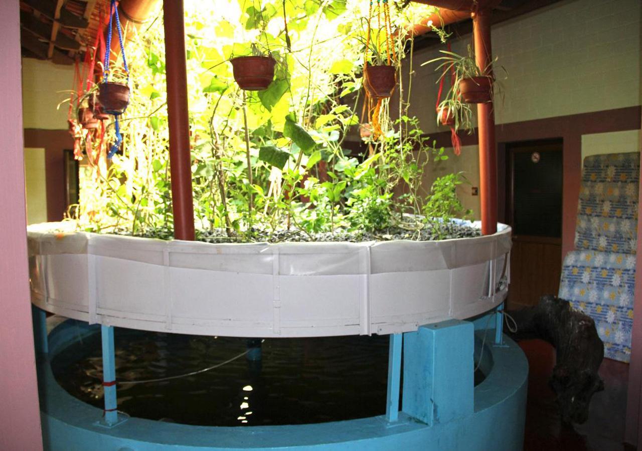 Ocean Green Kerala Kannur Extérieur photo