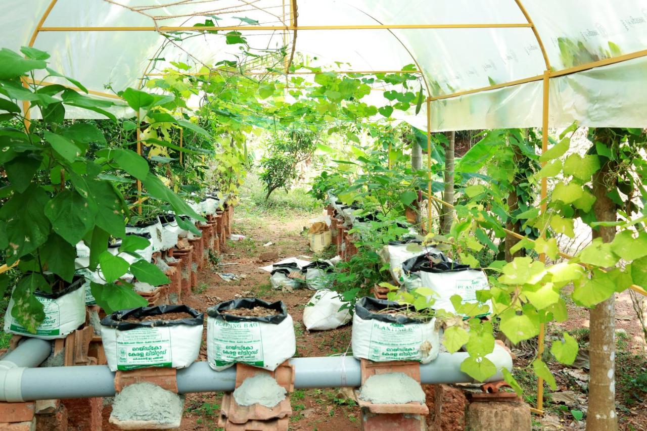 Ocean Green Kerala Kannur Extérieur photo