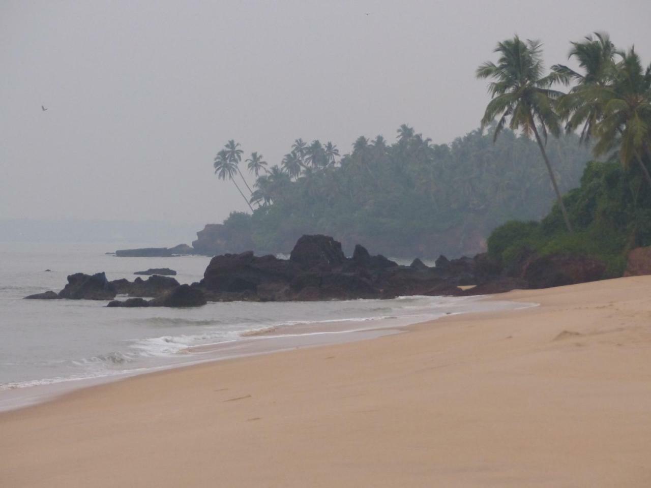 Ocean Green Kerala Kannur Extérieur photo