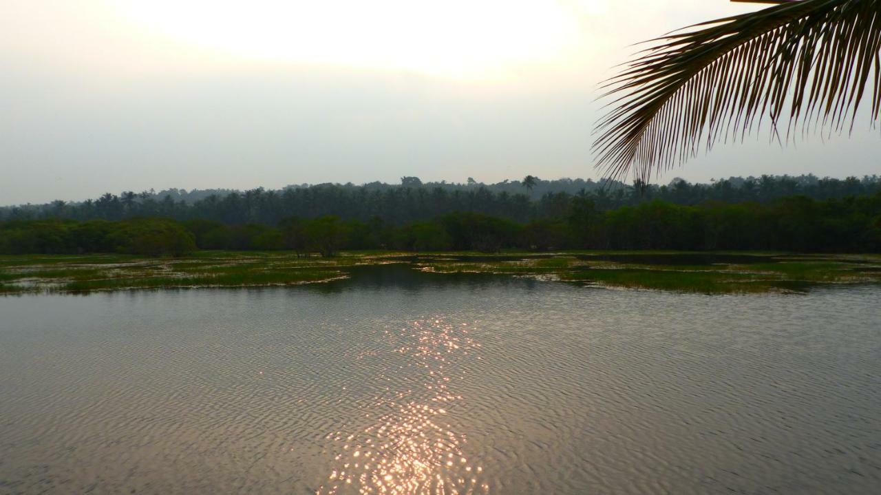 Ocean Green Kerala Kannur Extérieur photo